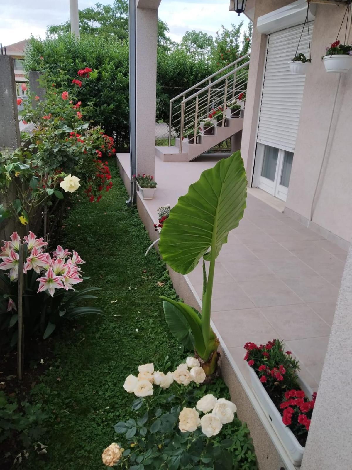 Entire House Floor - 2-Bedroom Cozy & Peaceful Apartment Podgorica Exteriér fotografie