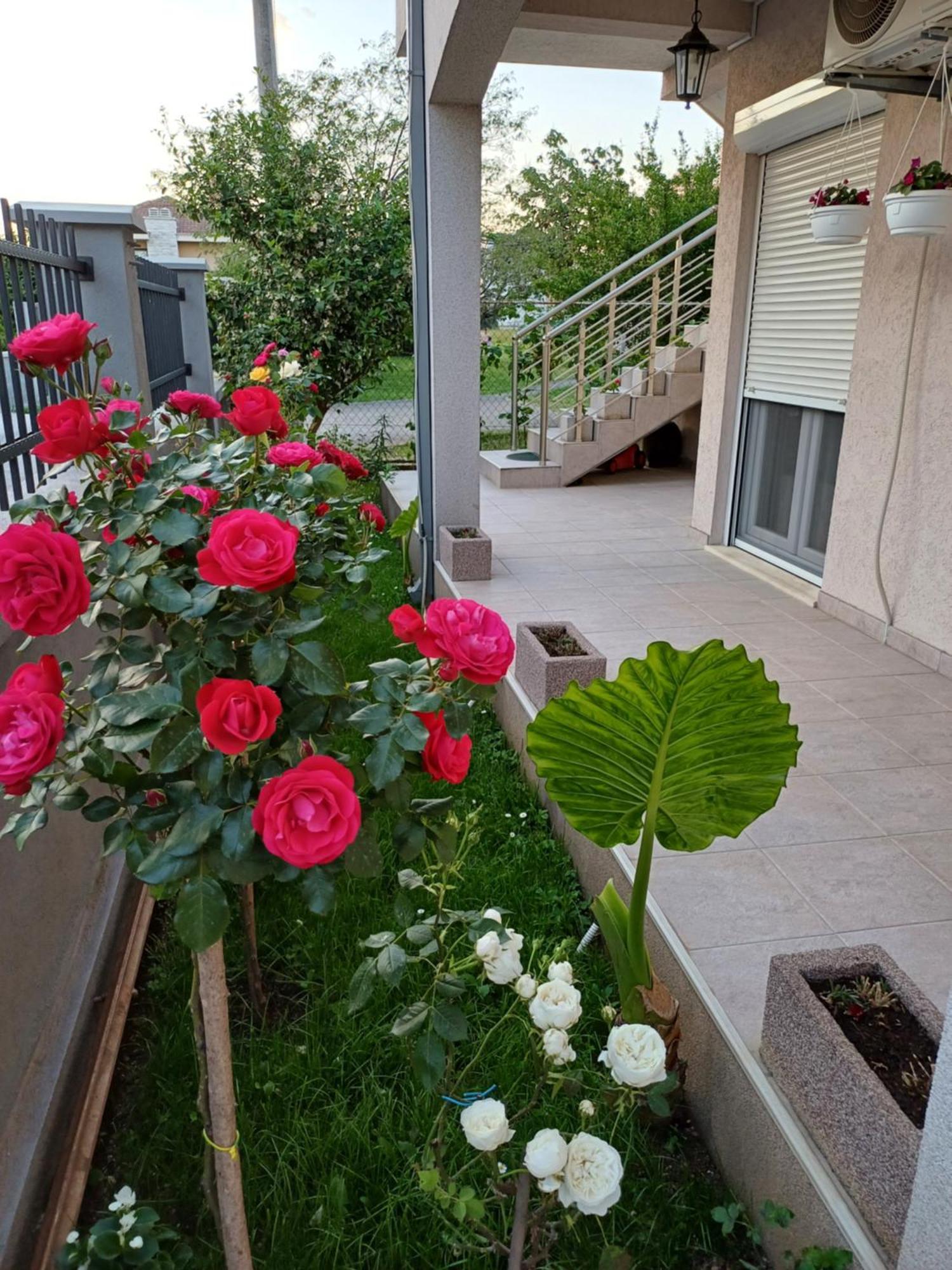 Entire House Floor - 2-Bedroom Cozy & Peaceful Apartment Podgorica Exteriér fotografie